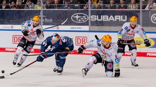 Die Spieler der Fischtown Pinguins jagen dem Puck nach.