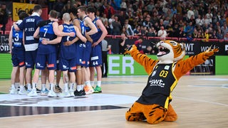 Basketball-Spieler der Eisbären Bremerhaven kommen nach nach der Niederlage im Kreis zusammen, neben ihnen kniet mit Jubelgeste das Tiger-Maskottchen von Tübingen.