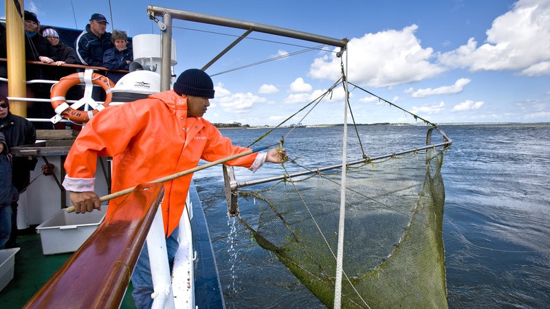 Ein Krabbenfischer in orangener Regenjacke hält ein Netz über das Wasser.
