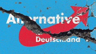 Der Schriftzug der Alternative für Deutschland (AfD) auf einer Wand mit einem Riss.