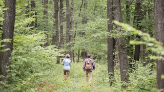 Ein Paar wandet durch einen Wald.