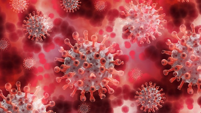 Symbolbild eines Corona-Virus in einer 3-D-Darstellung.