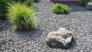 Schotter und ein paar Pflanzen in einem Garten