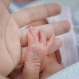 Eine Babyhand greift nach einem Finger