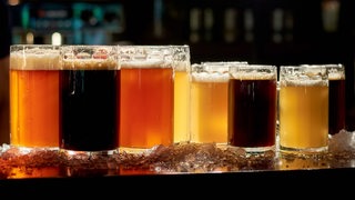 Verschiedene Biersorten in Gläsern