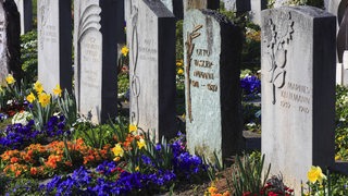 Friedhof mit bunten Blumen