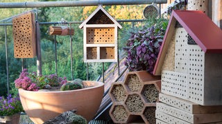 Wildbienen-Nisthilfen auf einem Balkon