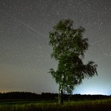 Sternenhimmel mit Perseiden-Schauer in einer Landschaft mit Baum im Vordergrund