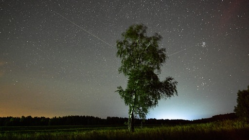 Sternenhimmel mit Perseiden-Schauer in einer Landschaft mit Baum im Vordergrund