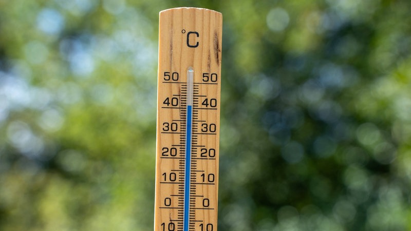 Thermometer aus Holz vor grünen Blättern in der Natur mit der Temperatur 40 Grad Celsius. 