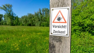 Zecken-Warnung an einer Wiese in einem Naturschutzgebiet (Symbolbild)