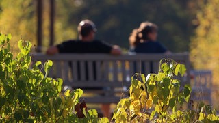 Paar genießt die Nachmittagssonne auf einer Parkbank an einem anhaltend warmen Herbsttag