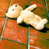 Ein Teddy liegt auf kaltem Fliesenboden.