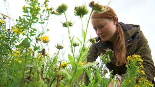 Eine junge Frau kniet im Beet und schaut sich Pflanzen und Blumen an.