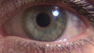 Eine Nahaufnahme vom menschlichen Auge.