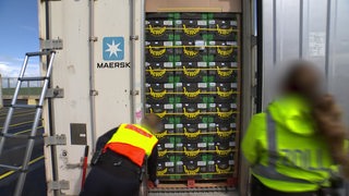 Zwei Zollbeamte untersuchen einen Container mit Bananenkisten.