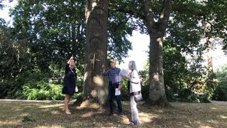 Hilde Kohake, Peter Bargfrede und Margot Müller von der Initiative zur Rettung der Alten Eichen im Klinikpark.