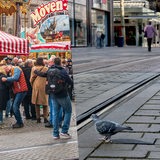 Collage zeigt auf der linken Seite eine belebte Bremer Innenstadt mit Freimarktsbuden, rechts nur 2 Tauben in der auf den Straßenbahnschienen.