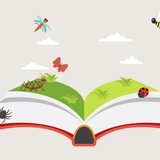 Verschiedene Insketen fliegen um ein Buch herum