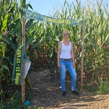Eine Frau steht vor einem Tor in einem Maisfeld.