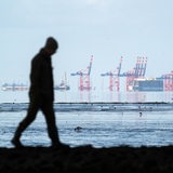 Ein Spaziergänger läuft über den Deich, im Hintergrund ist der Jade-Weser-Port zu sehen.