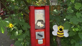 Ein Saatgutautomat, daneben eine Biene aus Holz