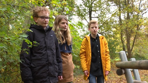 Drei Jugendliche stehen in einem Wald.