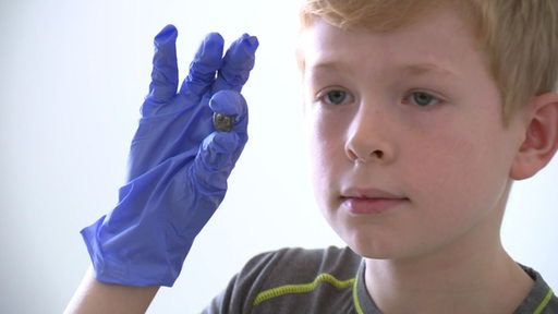 Ein Junge aus Bremen mit einer römischen Münze in der Hand.