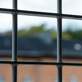 Der Blick aus einem vergitterten Fenster. 