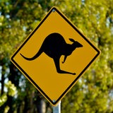 Ein gelbes Warnschild mit einem schwarzen Känguru steht vor grünen Bäumen.