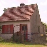 Es ist eins der Kaisenhäuser in dem Kleingartengebiet in Walle zu sehen.
