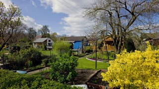 Eine Kleingartenanlage mit kleinen Einfamilienhäusern auf den Parzellen.