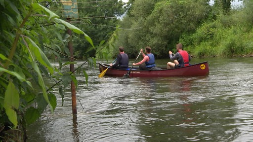 Drei Personen sitzen in einem Kanu auf einem Gewässer. Im Hintergrund sind viele grüne Bäume.