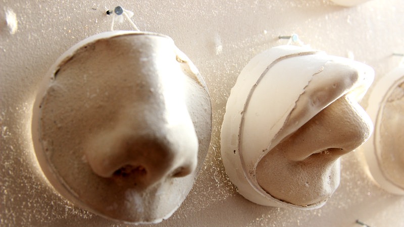 Zu sehen sind zwei Nasen aus Gips ähnlichem Material.