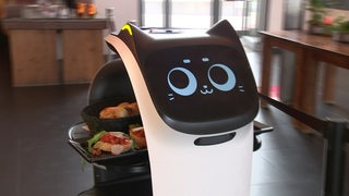 Ein Roboter mit einem Katzengesicht wird im El Mundo als Kellner eingesetzt. 