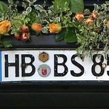 Ein Bremer Kennzeichen mit Blumen