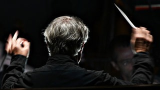 Dirigent Ingo Metzmacher während der Fotoprobe zur Oper Falstaff der Salzburger Festspiele