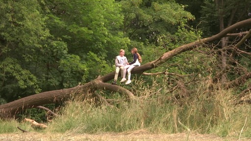 Zwei junge Mädchen sitzen nebeneinander auf einem umgekippten Baum und unterhalten sich.