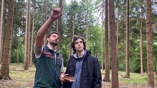 Zwei Männer stehen im Wald, einer zeigt auf etwas.