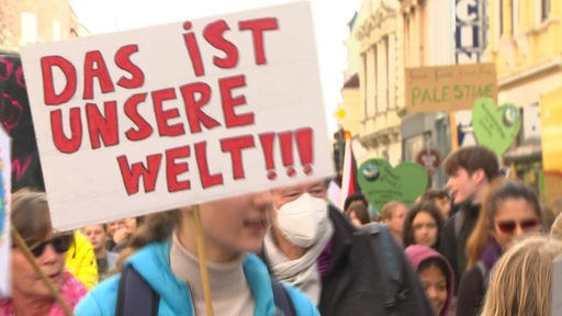 Ein Plakat mit der Aufschrift "Das ist unsere Welt!!!" bei einem Fridays for Future Streik. 