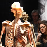 Frau steht in Ausstellung mit Telefon vor einem Skelett