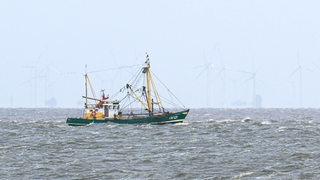 Ein Krabbenkutter fährt auf der Nordsee vor einem Windpark entlang.
