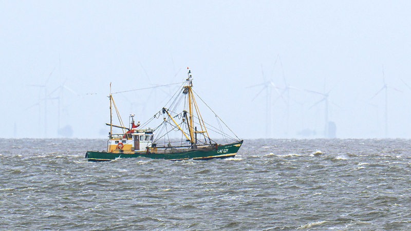 Ein Krabbenkutter fährt auf der Nordsee vor einem Windpark entlang.