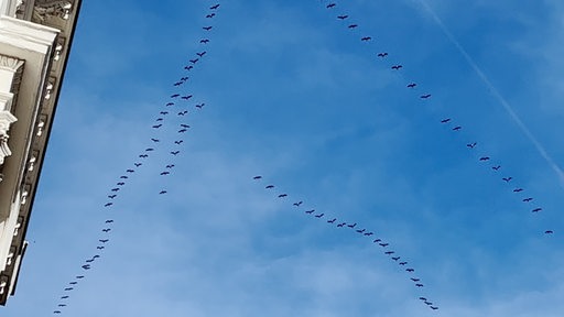 Zugvögel fliegen in einer Keilformation über ein Haus hinweg.