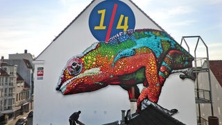 Das 1/4 Graffiti mit Chamäleon an einer Häuserwand 