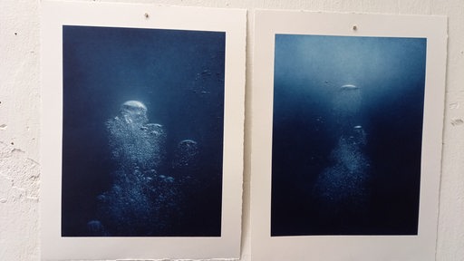 Two blue pictures are hanging side by side.