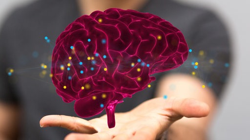 Ein computergeneriertes Gehirn mit bunten Punkten schwebt über einer geöffneten Hand (Symbolbild)