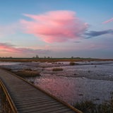 Sonnenaufgang im Naturschutzgebiet Langwarder Groden.