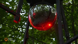 Eine rot leuchtende Diskokugel hängt unter Bäumen in einem Park.