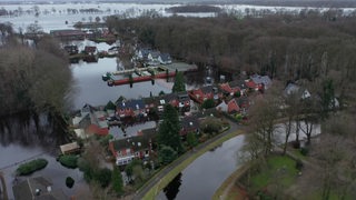 Hoher Grundwasserspiegel: Wasser dringt in Bremer Keller ein - buten un  binnen